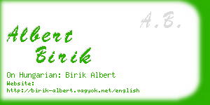 albert birik business card